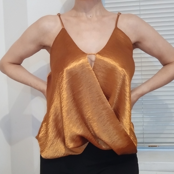 Gorgeous Golden top - Picture 4 of 5